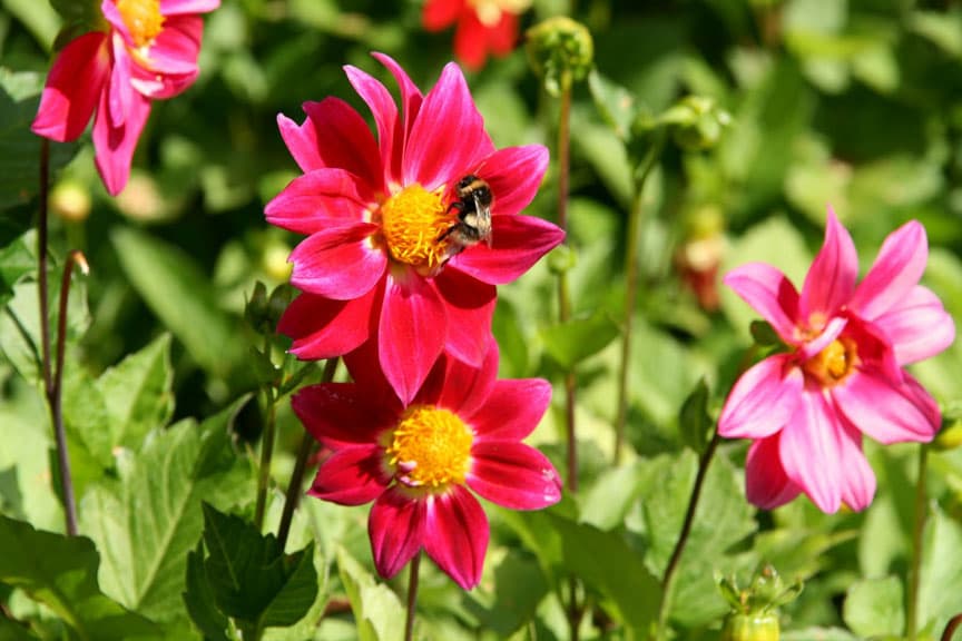 Test Product with Image URLs — صورة 1
